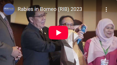 RIB 2023 Thumbnail